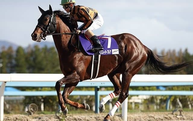 【カペラS予想オッズ】モズスーパーフレアが予想1番人気