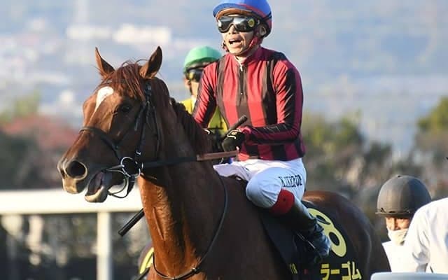 【中日新聞杯予想オッズ】3歳馬ラーゴムが予想1番人気
