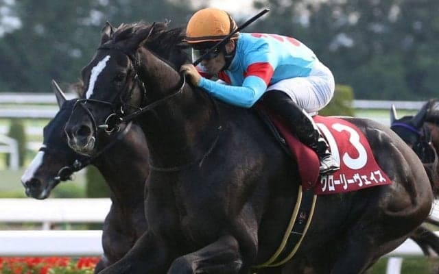 【2021香港国際競走】日本馬の近況（12月7日）