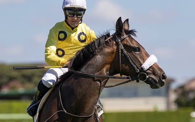 【阪神JF展望】2歳女王決定戦、あの馬の戴冠を期待したい