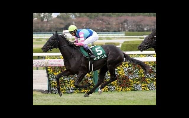 近年まれに見る大混戦の「２歳牝馬ランキング」。真の女王はいまだ影を潜めているのか