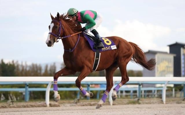 【次走】ケイティブレイブは根岸SからフェブラリーSへ