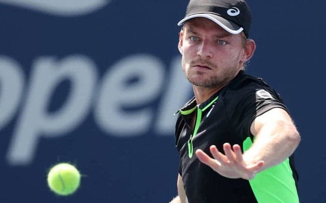 ナダルもびっくり!! 2017年最終戦で見せたゴファンのスーパーショットをテニスTVが公開