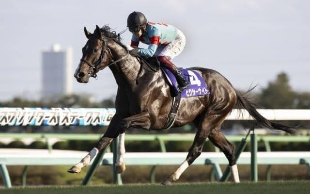 【香港スプリント】ピクシーナイトなど出走日本馬3頭の近況(8日)