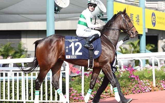 キセキは「奇跡」ではなく「神業」　香港“漢字馬名”のカラクリとは？