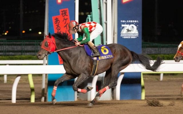 サブノジュニアが12月9日のレースで引退