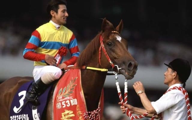 アグネスデジタルが死亡　“稀代のオールラウンダー” 芝とダートでGI勝利