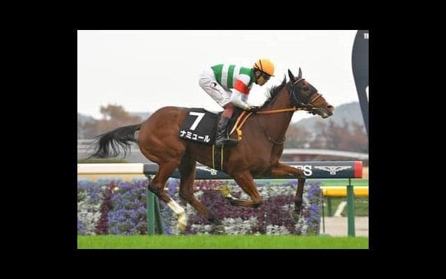 阪神JFはハービンジャー産駒の「当たり世代」に期待。対抗となりそうなのは？