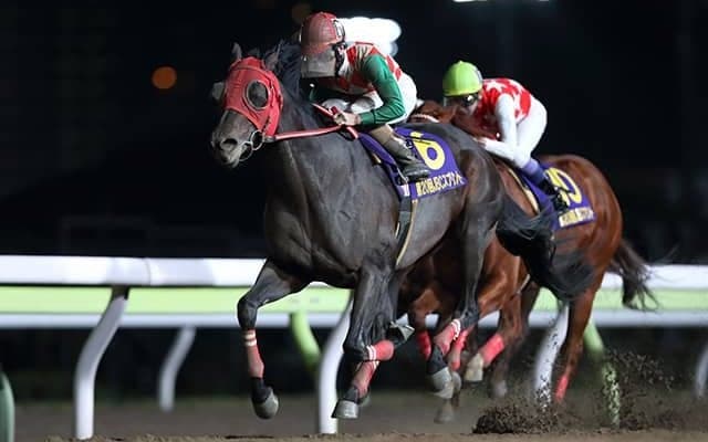 【地方競馬】2020年JBCスプリント優勝馬サブノジュニアが9日のビオラ賞で引退