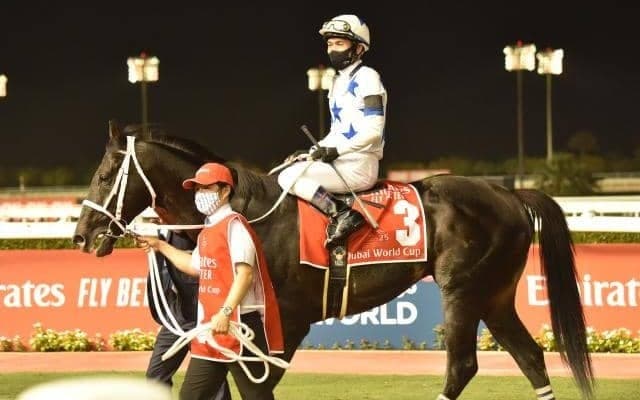 チュウワウィザードはドバイWCが大目標、サウジCからの転戦も視野に