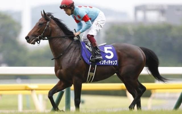 【香港マイル枠順】インディチャンプは6番枠、サリオスは1番枠