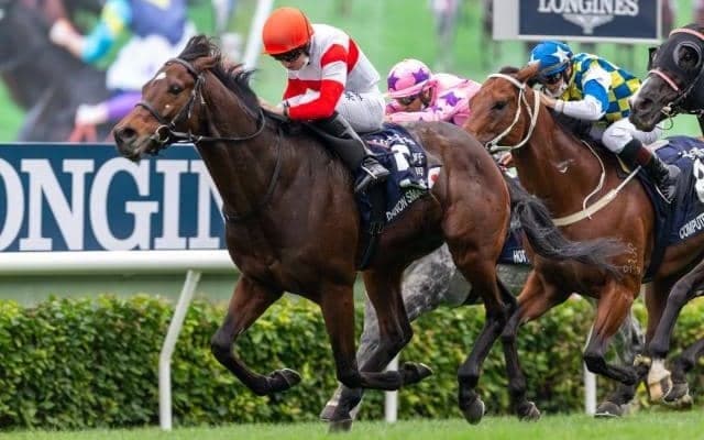 【香港スプリント枠順】ダノンスマッシュは10番枠、ピクシーナイトは8番枠