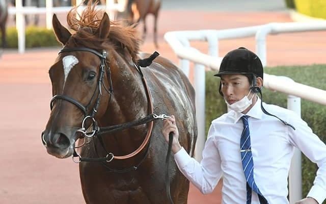 【中日新聞杯出走馬・騎手確定】ラーゴム＆池添謙一騎手、アドマイヤビルゴ＆武豊騎手など18頭