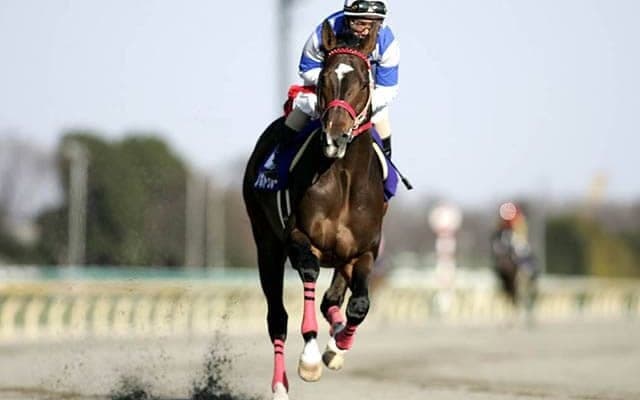 【JRA】ノボトゥルーが死亡、25歳　2001年フェブラリーS覇者