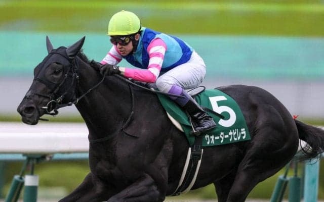 【阪神JF】出走馬の調教後の馬体重