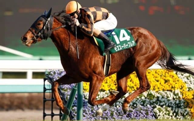 【カペラS枠順確定】モズスーパーフレアは大外8枠16番、リュウノユキナは1枠1番