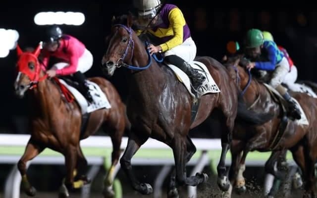 【大井・ビオラ賞結果】2番人気ハルディネロが勝利し、ラストランのサブノジュニアは6着