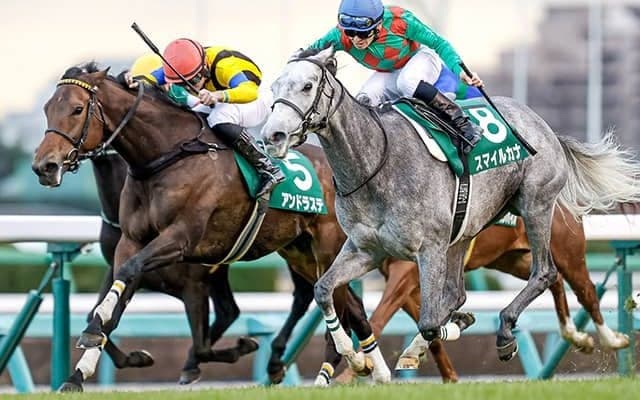 【ターコイズS想定】府中牝馬S上位のアンドラステ・マルターズディオサ・ドナアトラエンテなど22頭