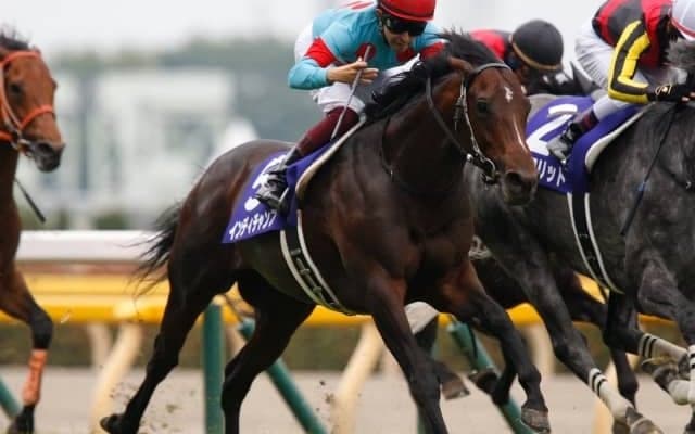 【香港国際競走】福永祐一騎手がインディチャンプに騎乗、C.スミヨン騎手がレイパパレに騎乗など(10日の近況)