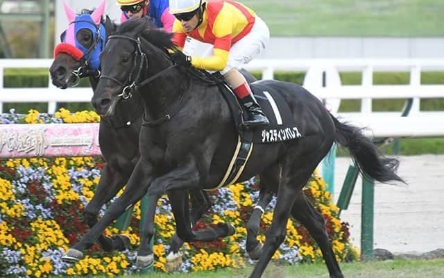 【ホープフルS想定】2戦2勝コマンドラインはルメール騎手、ジャスティンパレスはC.デムーロ騎手