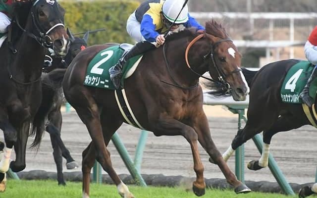 【本日の注目ポイント】中京でハンデ重賞・中日新聞杯