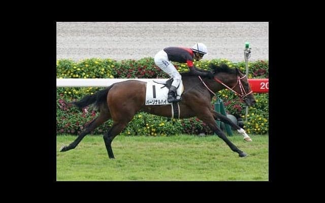 阪神JFは波乱要素がふんだん。穴党記者は抽選突破の伏兵２頭を推す