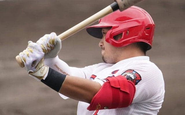 打撃指標で選ぶ「セのベストナイン」は？　鈴木誠也が圧倒、2冠王は選外に