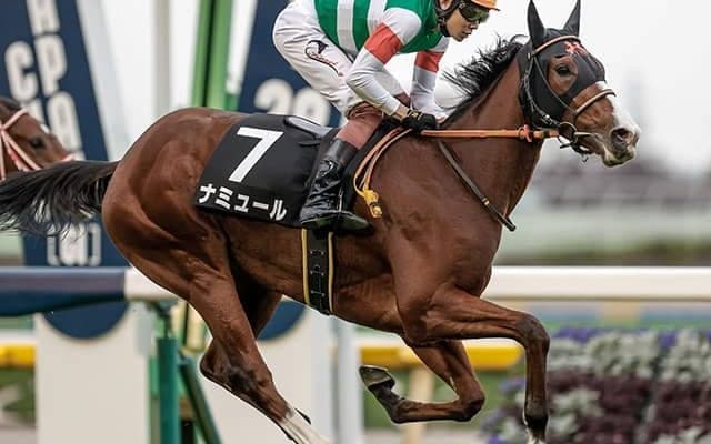 【阪神JF予想】スイープトウショウを彷彿!? 突き抜ける可能性を秘めた「素質上位」の馬とは…