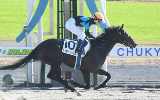 【中京5R新馬戦結果】シニスターミニスター産駒ナッカーフェイスが4馬身差圧勝