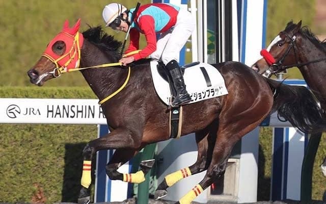 【阪神7R新馬戦結果】8番人気ピジョンブラッドが離れた最後方から一気に突き抜けてV