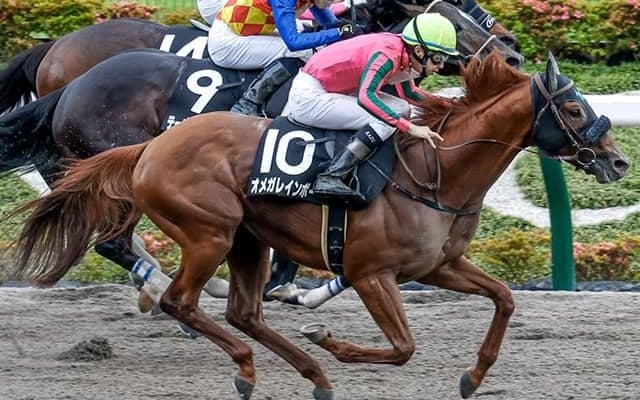 【カペラS予想】勝ち馬傾向から「○○」重視！ 馬体重の有無もポイントか