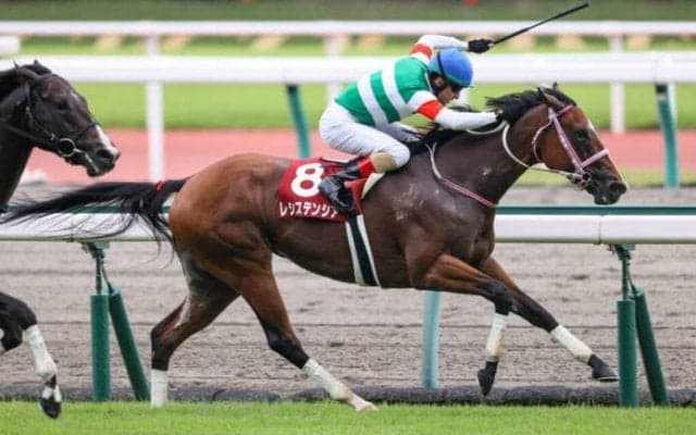 【2021香港国際競走】日本馬の近況（12月11日）