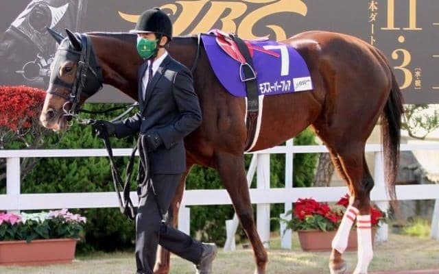 【カペラS前日オッズ】モズスーパーフレアが3.6倍で1番人気、単勝10倍以下5頭で混戦模様