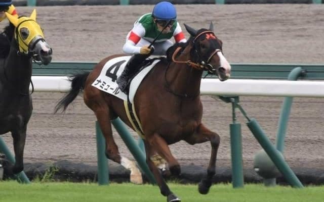 【阪神JF前日オッズ】C.デムーロ騎手とコンビのナミュールが2.9倍で1番人気