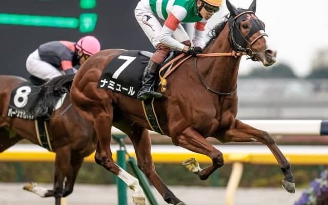 【本日の注目ポイント】2歳女王決定戦・阪神JF　日本馬12頭参戦の香港国際競走にも注目