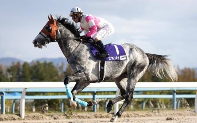 【カペラS予想】地方DG競走2勝のリュウノユキナが中心