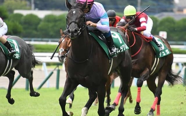 【阪神JF予想】AI本命「◎」は今週も伏兵！ 逆転可能な「妙味ある馬」は運をも引き寄せる？