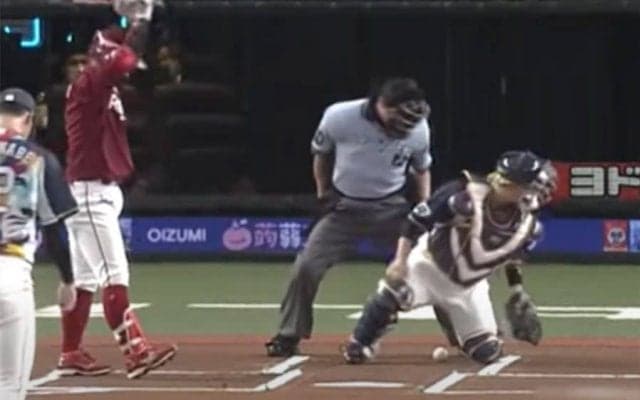 「動物園のペンギン」「めっちゃおもろい」　試合中の“奇跡のシンクロ”にファン爆笑