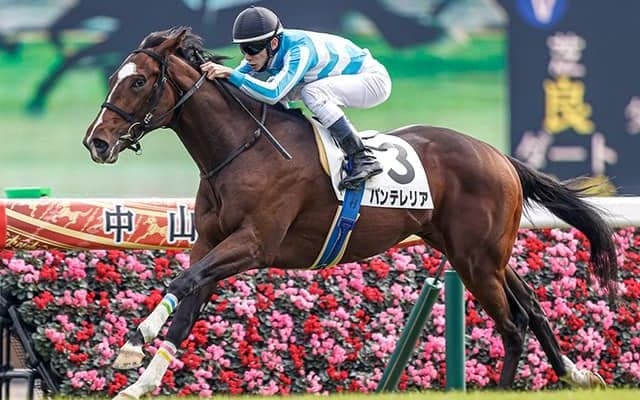 【中山5R新馬戦結果】パンテレリアが内からスムーズに抜け出して快勝