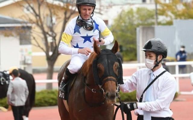 【川崎・全日本2歳優駿枠順確定】セキフウは1枠1番、ナッジは3枠3番