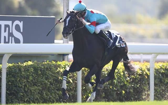 【香港ヴァーズ結果】グローリーヴェイズがモレイラ騎手とのコンビで2度目の制覇！