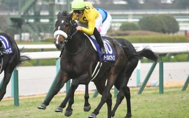 【阪神JF】サークルオブライフが差し切りを決め3連勝で2歳女王に輝く！