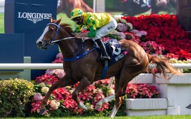 【香港スプリント結果】伏兵スカイフィールドが勝利　レシステンシア2着、ダノンスマッシュ8着、ピクシーナイトは競走中止