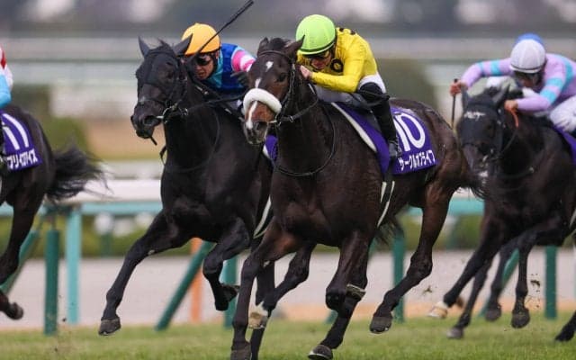 【阪神JF】サークルオブライフがG1初制覇