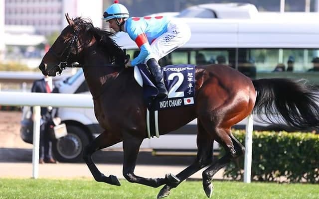 【香港マイル】福永祐一騎手落馬負傷のためインディチャンプはスミヨン騎手に乗り替わり