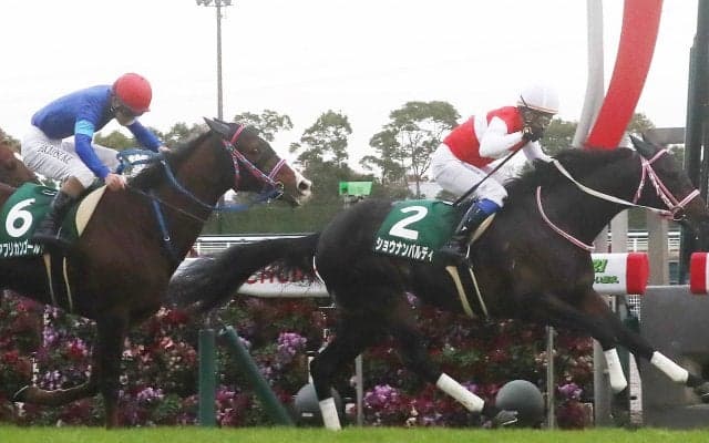 【中日新聞杯】ショウナンバルディが重賞初制覇！岩田康騎手は重賞通算100勝