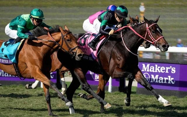 【香港カップ】今年海外GI3勝　異国の地でラヴズオンリーユーが有終の美飾る