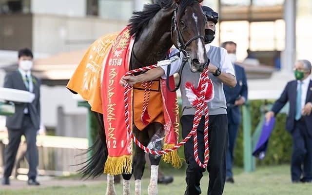 【香港スプリント】ピクシーナイト馬体は異常なし、香港の2頭が予後不良に