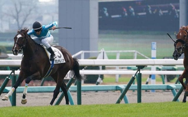 【新馬/中山5R】イスラボニータ産駒 パンテレリアがデビューV
