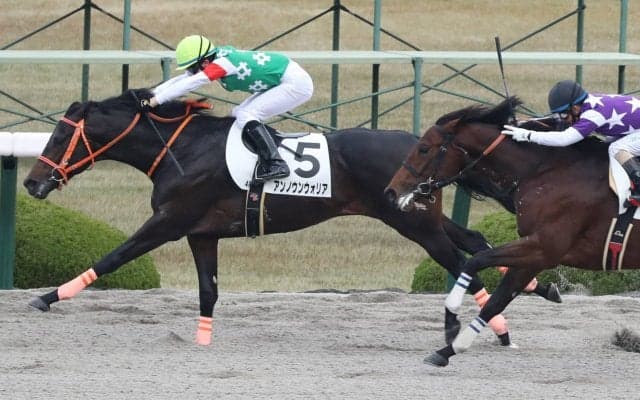 【新馬/阪神4R】アンノウンウォリアがデビューV
